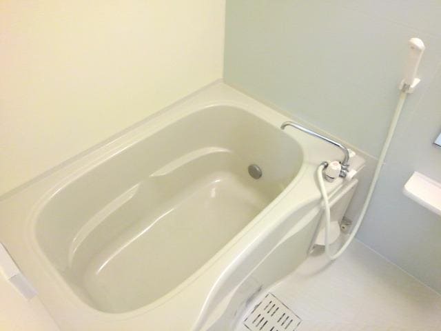  パレス　ジェリカIIーＢ