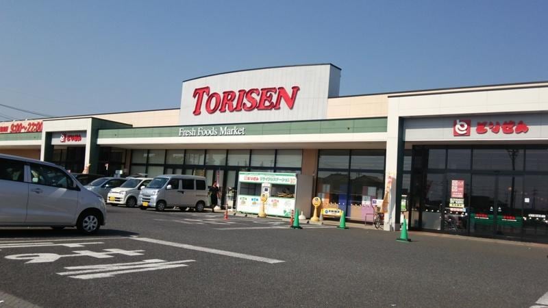 とりせん下妻店(スーパー)まで1351m パレス　ジェリカIIーＢ