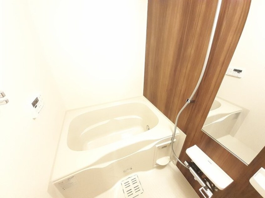  ヴェルドゥーラ　Ｄ