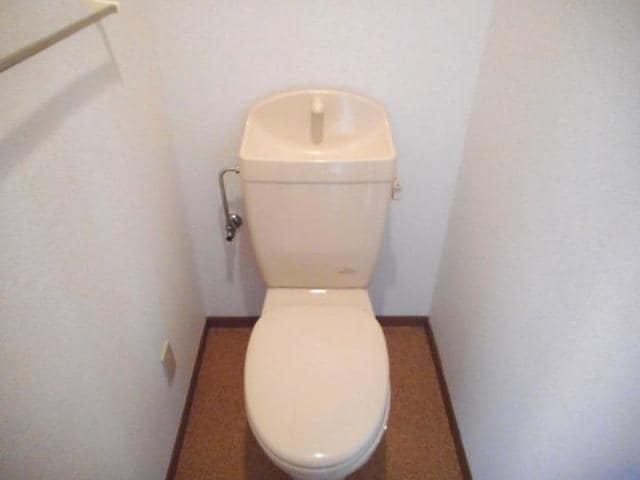  セレッソ・レガーロ