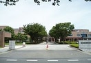 阿見県立医療大学(大学/短大/専門学校)まで1298m サンガーデン椚B