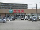 エコス　荒川沖店(スーパー)まで532m 高橋コーポ