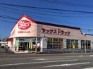 ﾔｯｸｽﾄﾞﾗｯｸﾞ阿見店(ドラッグストア)まで380m サンハイツ2号