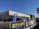 ウエルシア土浦中高津店まで500m セイバリーヒルズ土浦