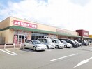 カスミ龍ヶ崎中里店まで2500m グレイスハーモニー