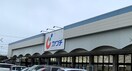 ｶﾜﾁ薬品 荒川沖店(ドラッグストア)まで735m 右籾角地住宅