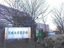 茨城大学農学部まで1300m クレア・ポルト　Ａ