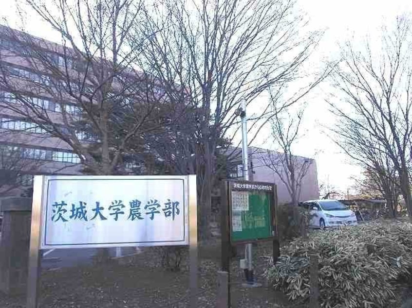 茨城大学農学部まで1300m クレア・ポルト　Ａ