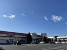 ストッカーまで1000m ノーヴァ・トワーレ