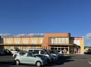 カスミまで1500m チヨ　タウンＣ