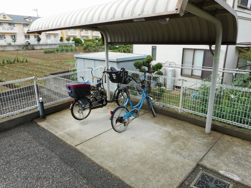  アミスター