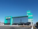 ニトリ土浦店まで1600m プレミアコート　上高津