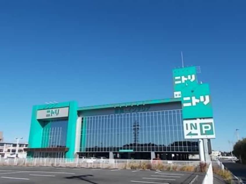 ニトリ土浦店まで1600m プレミアコート　上高津