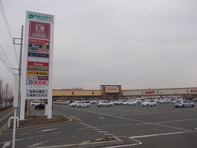 ピアシティまで1900m エムズ　サニーガーデンII