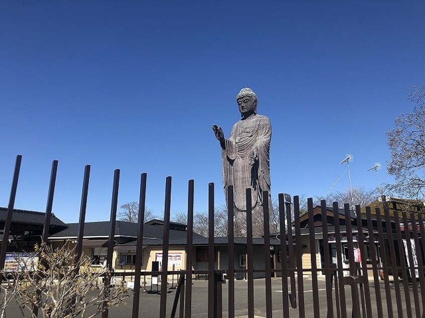 牛久大仏まで3050m ケリーヒルズ