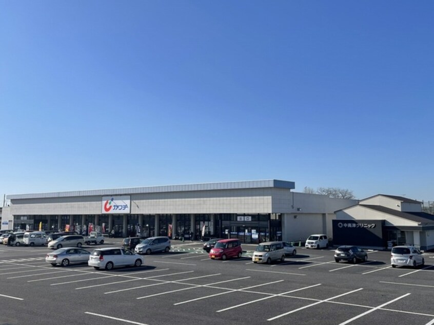 カワチ薬品まで1250m シェル・リヴィエールＢ