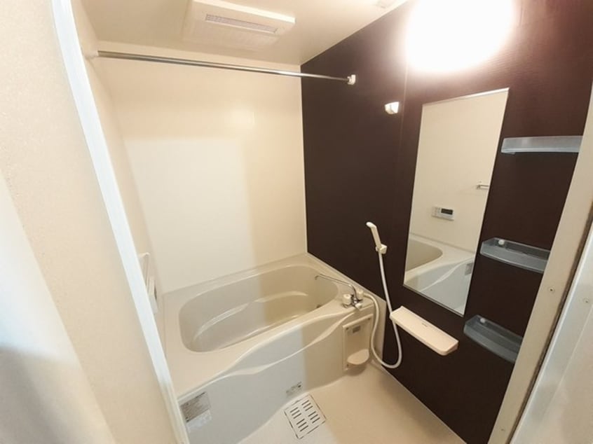  アルカンシェルカンダツアルファ