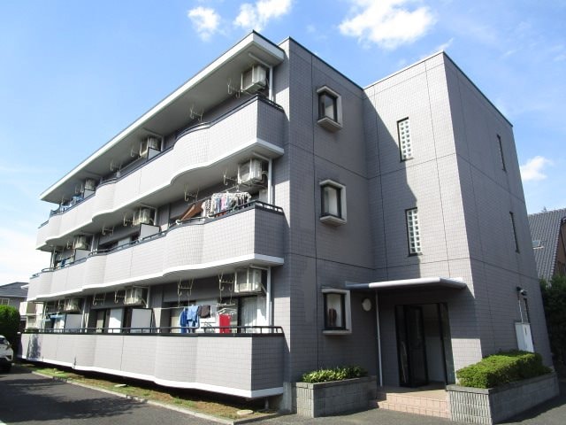  プリムローズ・アイ