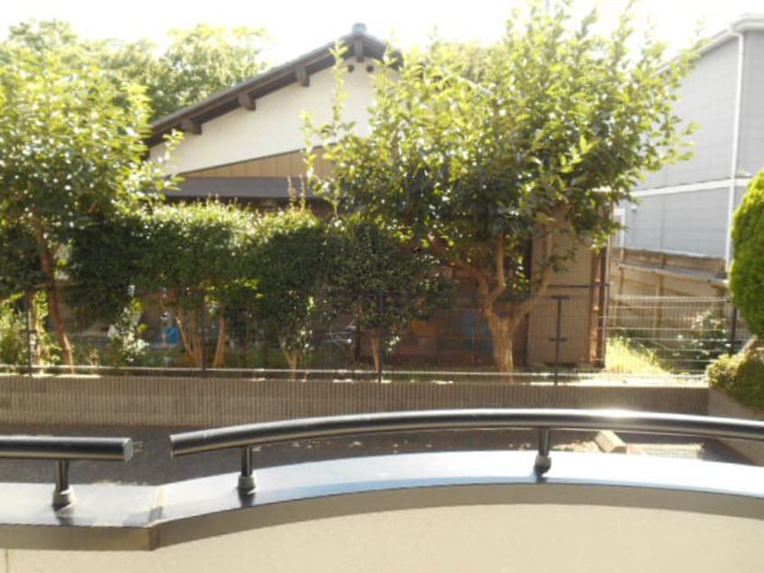  プリムローズ・アイ