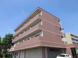 グローバル5