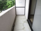  グローバル5