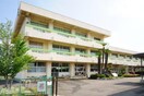 つくば市立葛城小学校(小学校)まで575m メゾンTSK