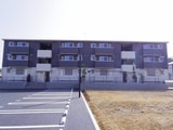 Always Friendly 学園南