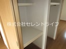 スルークローゼット内部 ポジターノ
