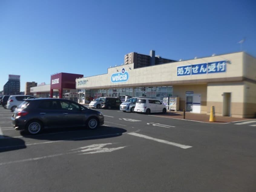 ｳｴﾙｼｱつくば万博記念公園店(ドラッグストア)まで1256m ポジターノ
