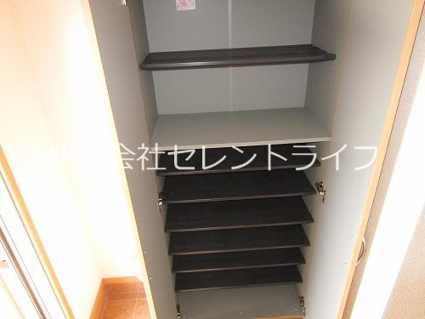 玄関トールシューズボックス内部 ポジターノ