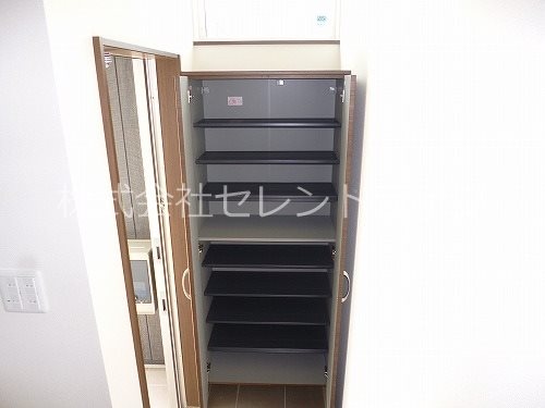 シューズボックス内部 リトルオリーブ
