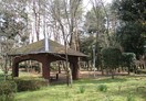 赤塚公園(公園)まで765m エムズ・スクウェア