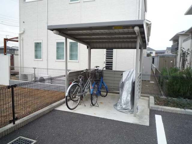  アプリコット