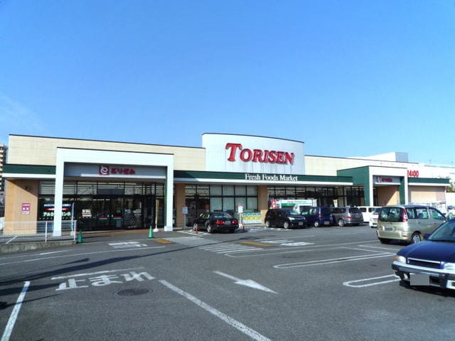 とりせん研究学園店まで1200m アプリコット