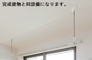  レグラ・デ・オロII