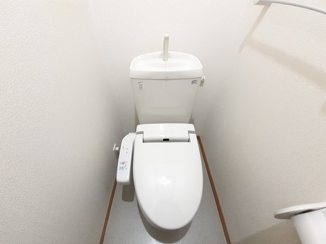  ドマーニII