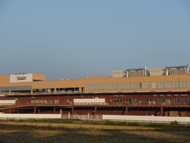 山新グランステージつくばまで3，174ｍ Moon stone（ムーン　ストーン）