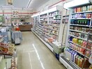 ｾﾌﾞﾝｲﾚﾌﾞﾝ つくば観音台店(コンビニ)まで731m Kanon （カノン）