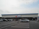 カワチ薬品谷田部店まで1，637ｍ Kanon （カノン）