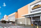 山新グランステージつくば(電気量販店/ホームセンター)まで926m プラシード