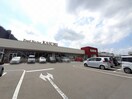 カスミ万博記念公園駅前店まで350m ソーレ