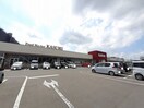 カスミ万博記念公園駅前店まで1500m シェーン　ドミール　II