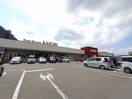 カスミ 万博記念公園駅前店まで800m セイバリーIII