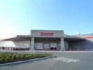 コストコつくば倉庫店まで2450m ノートルレーヴＫ
