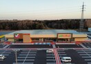 ヨークベニマルつくばさくらの杜店(スーパー)まで551m グレイス　ブライト　Ｃ