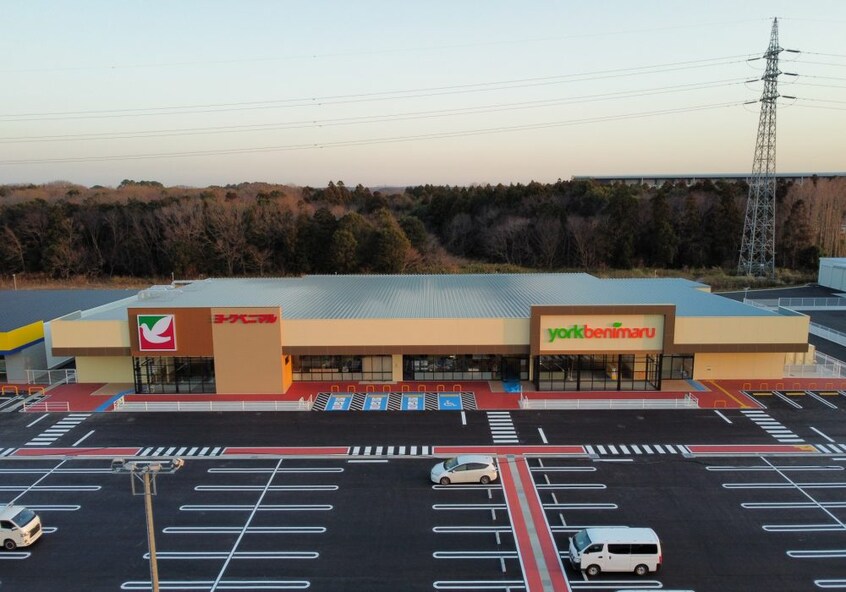 ヨークベニマルつくばさくらの杜店(スーパー)まで551m グレイス　ブライト　Ｃ