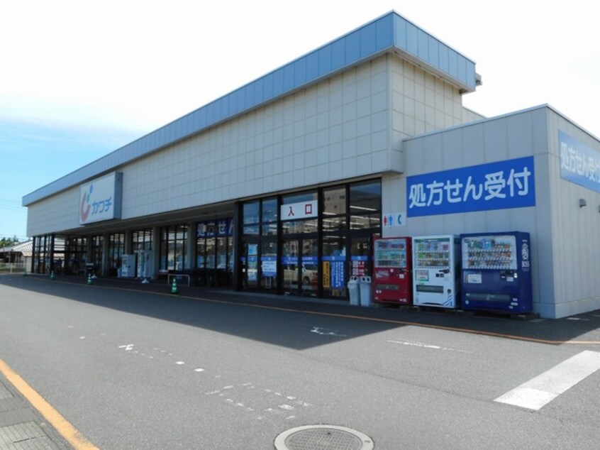 カワチ薬品 谷田部店まで800m レグラ・デ・オロII