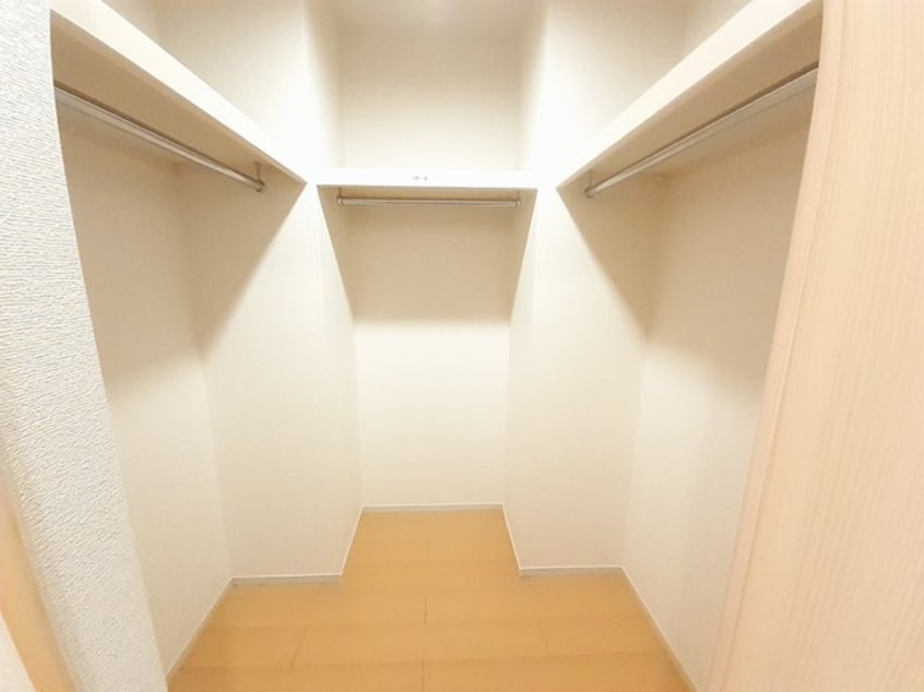  サンフラワー
