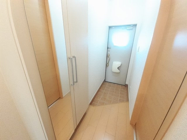  サンフラワー