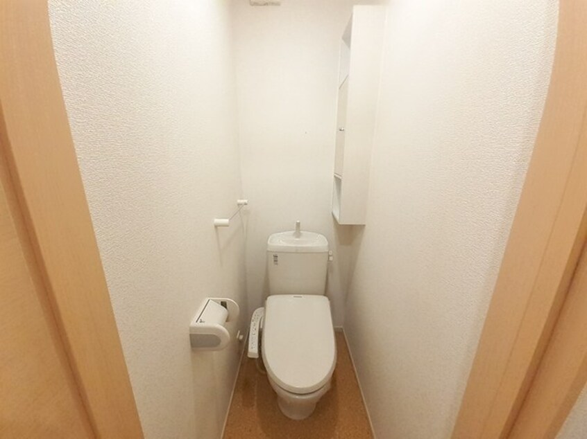  サンフラワー